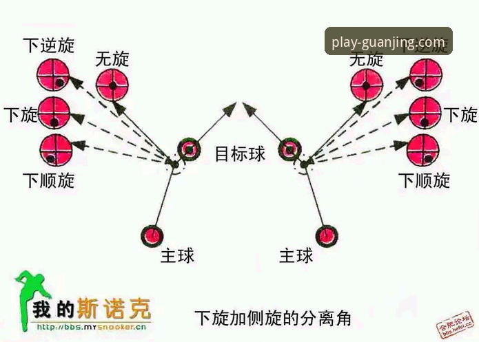 冠竞体育用户反馈怎么样？新手真实体验分享与操作指南